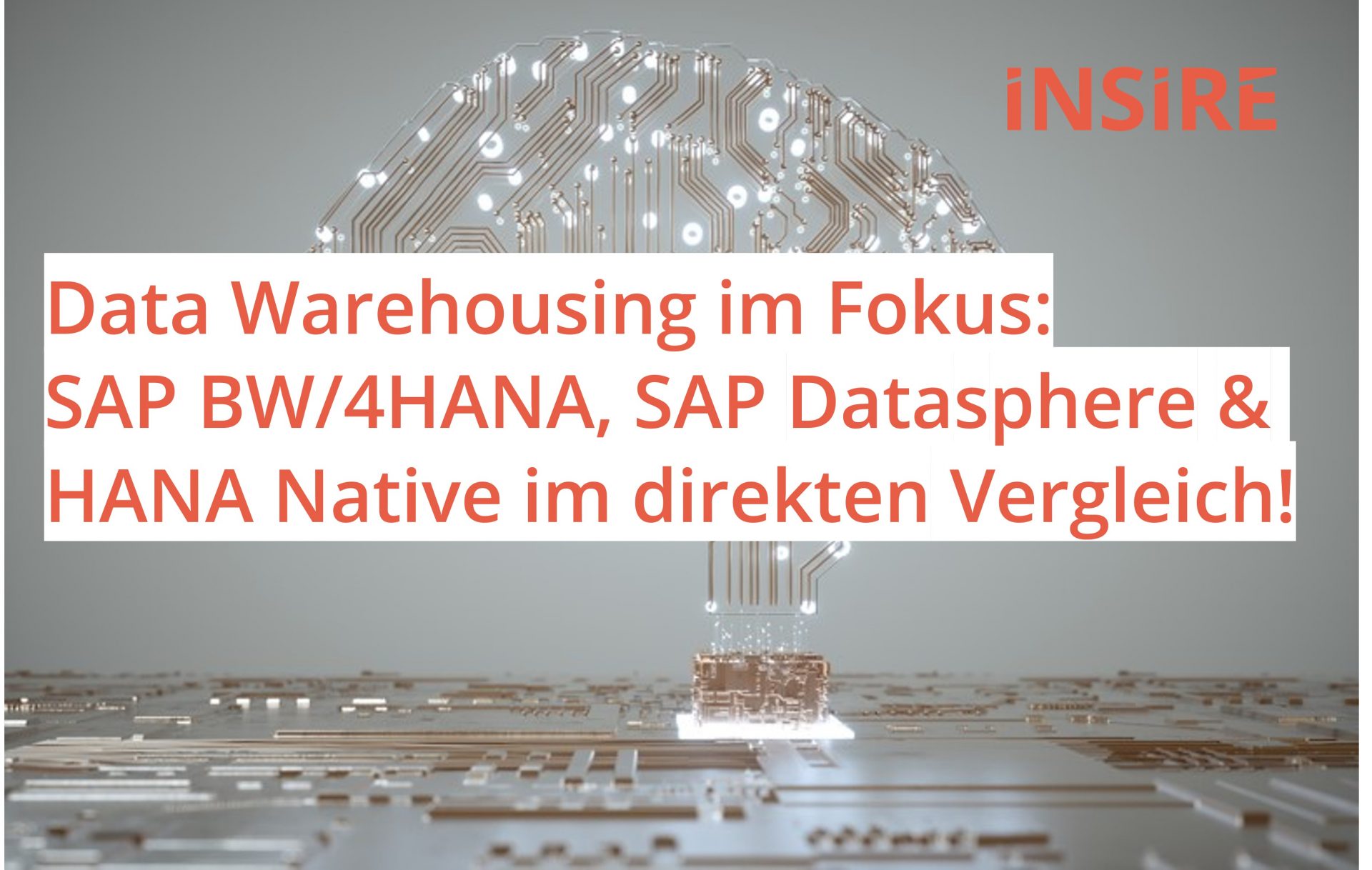 Artikel: Datawarehousing im Fokus: SAP BW/4HANA, SAP Datasphere & HANA Native im direkten Vergleich!